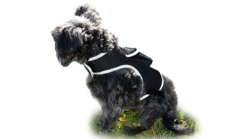Durable Waterproof GSM GPRS Tracking Device Realtime Tracking for Pets Size:S